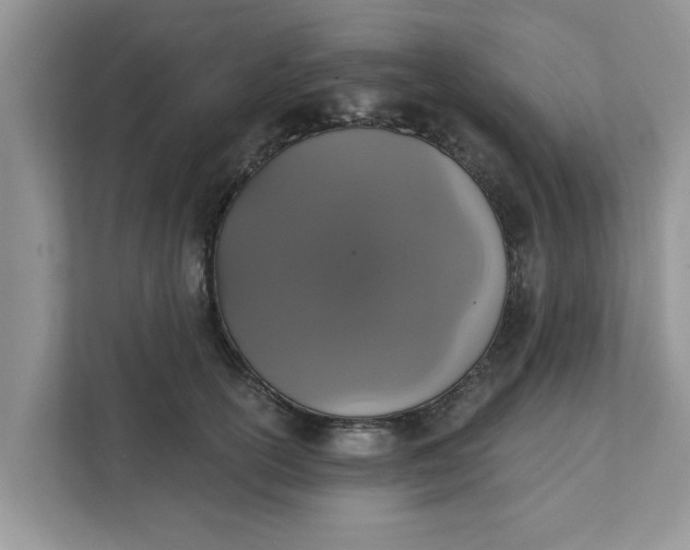 X0000111830754200908061155