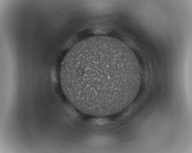 X0000111830755200908061155