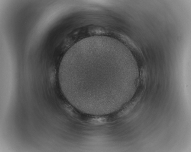X0000111830760200908061155