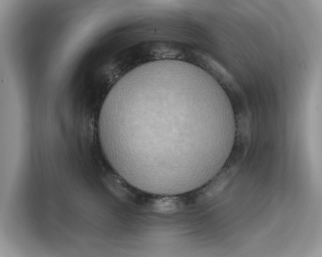 X0000111830761200908061155