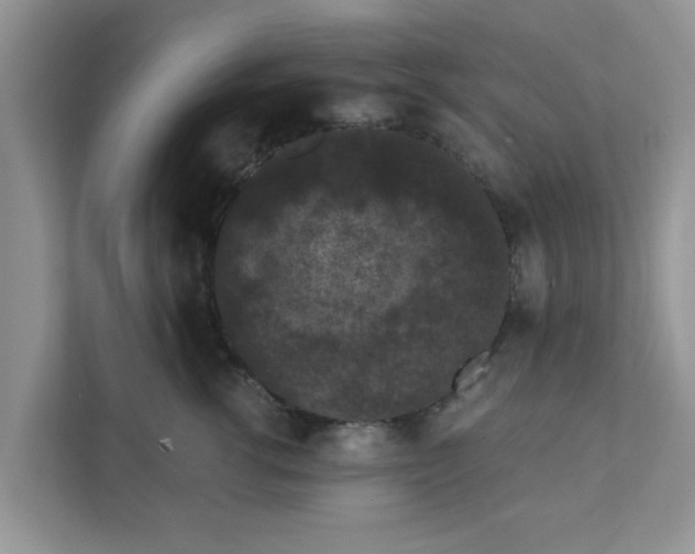 X0000111830762200908061155
