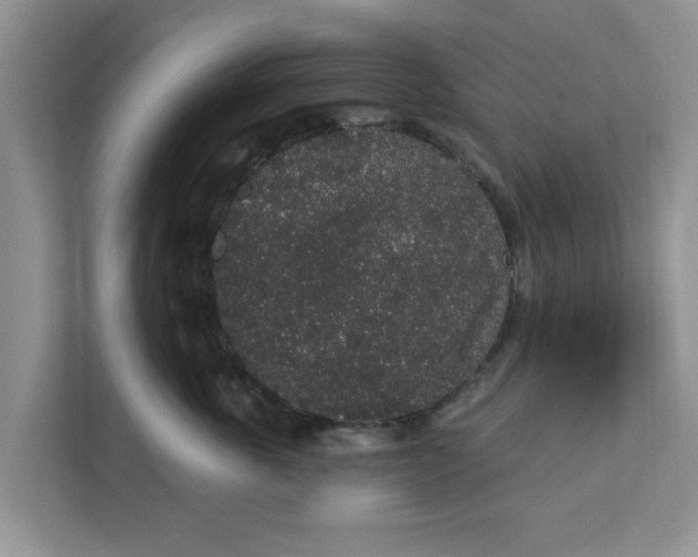 X0000111830763200908061155
