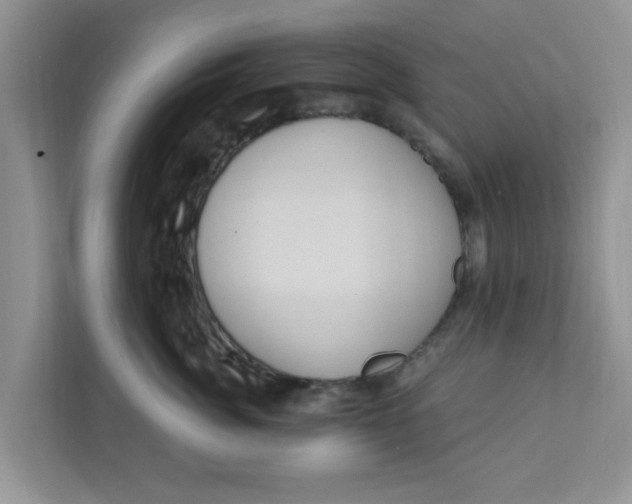 X0000111830764200908061155
