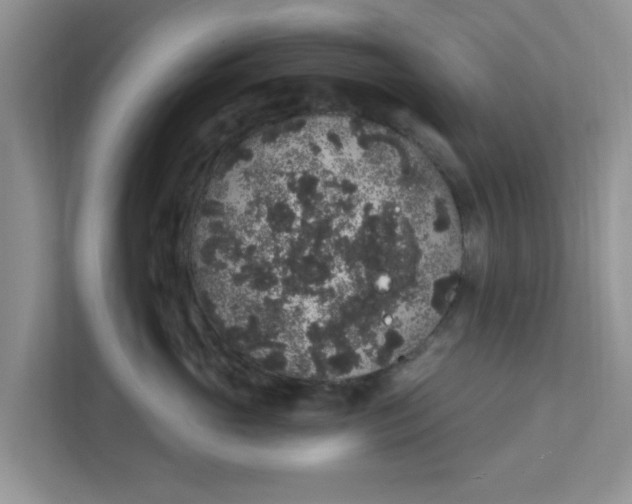 X0000111830765200908061155