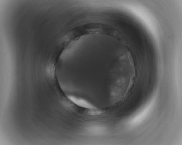 X0000111830767200908061155