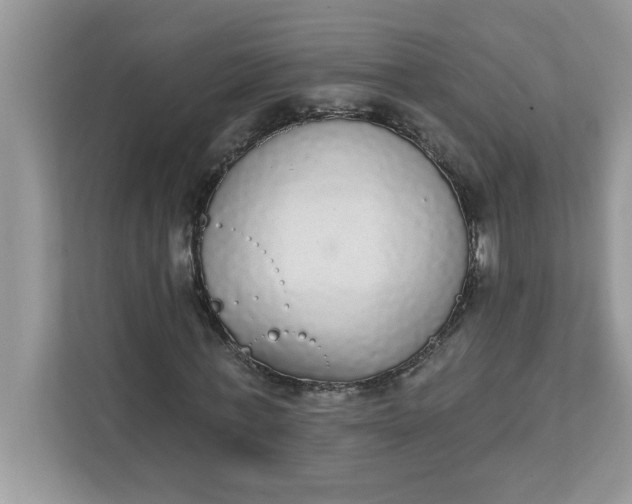 X0000111830771200908061155