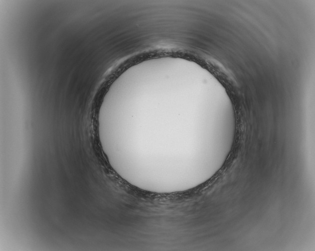X0000111830776200908061155