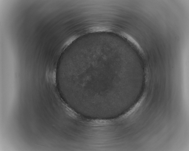 X0000111830777200908061154