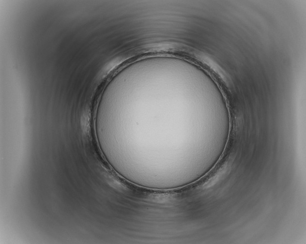 X0000111830778200908061154
