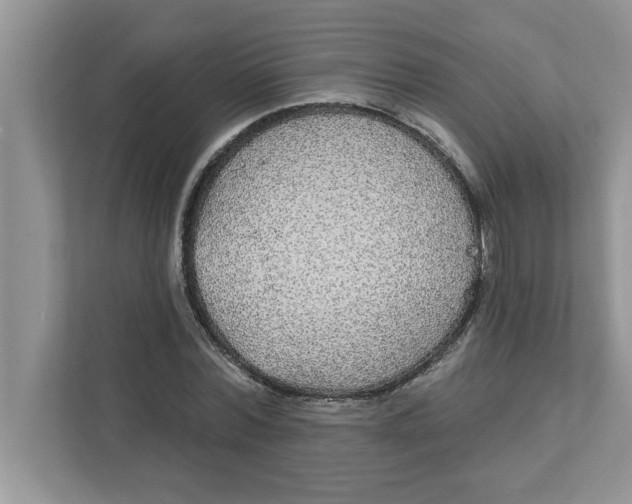X0000111830780200908061154