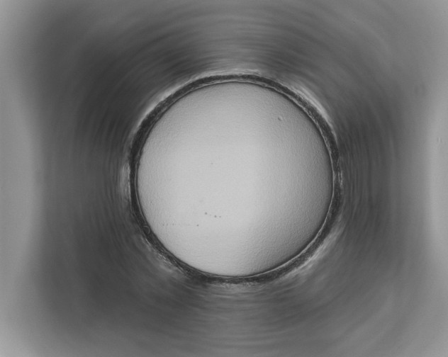 X0000111830781200908061154