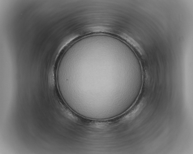 X0000111830782200908061154
