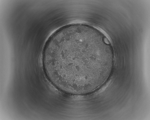X0000111830783200908061154