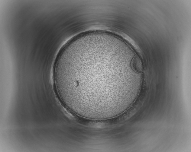 X0000111830791200908061154