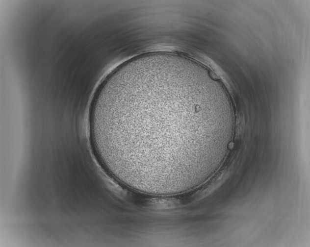 X0000111830795200908061154