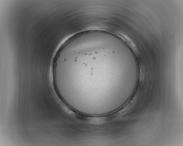 X0000111830796200908061154