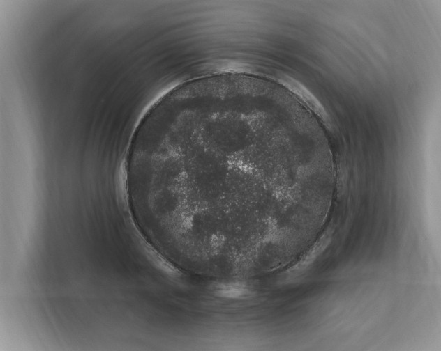 X0000111830798200908061154