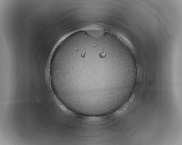X0000111830800200908061154