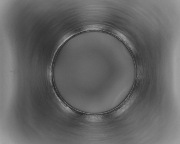 X0000111830802200908061154