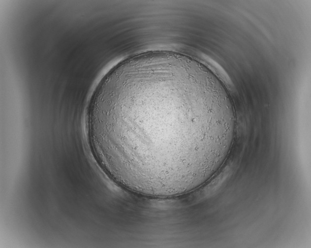 X0000111830804200908061154