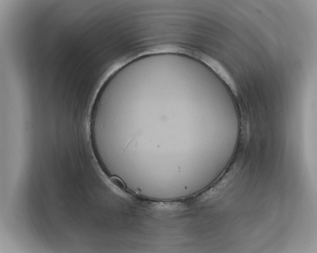 X0000111830805200908061154