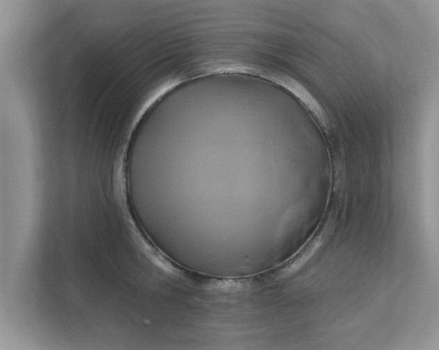 X0000111830806200908061154