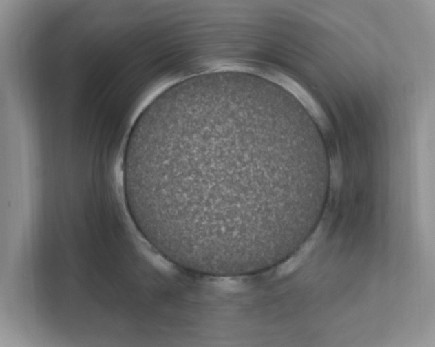 X0000111830814200908061154