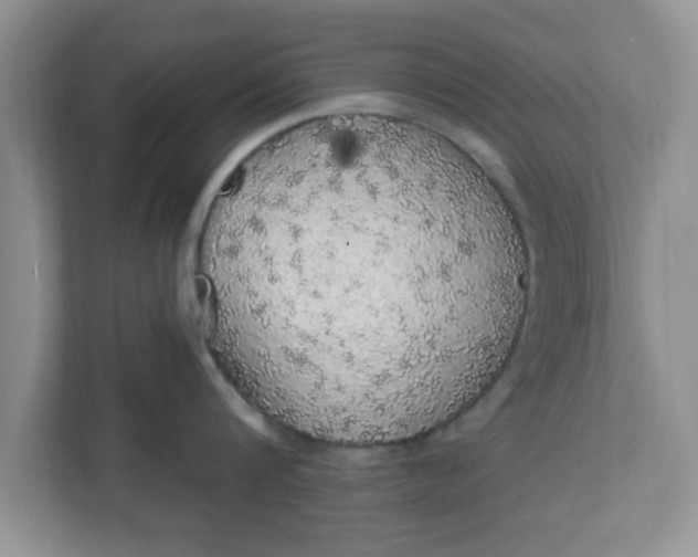 X0000111830816200908061154