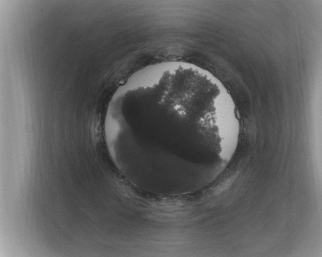 X0000111830818200908061153