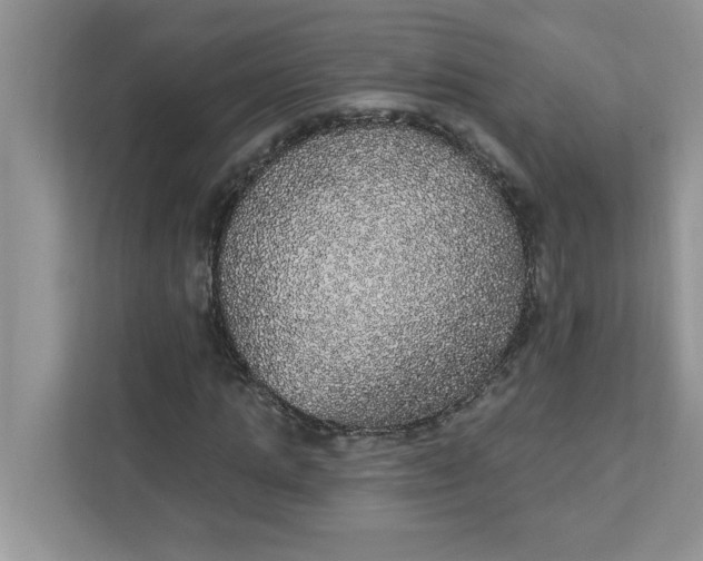 X0000111830821200908061153