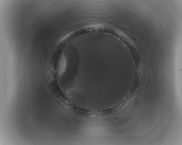 X0000111830822200908061153