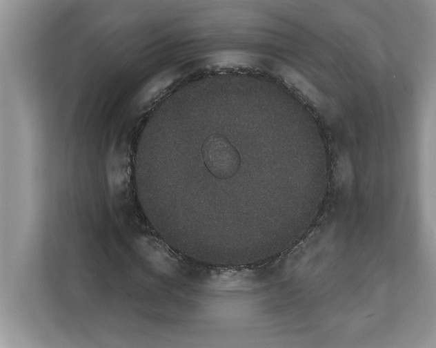 X0000111830824200908061153