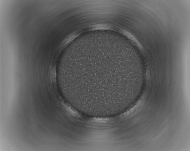 X0000111830825200908061153