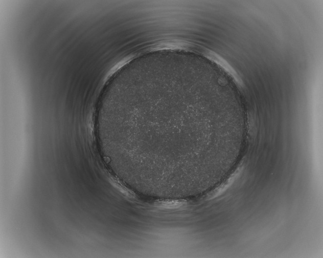 X0000111830826200908061153
