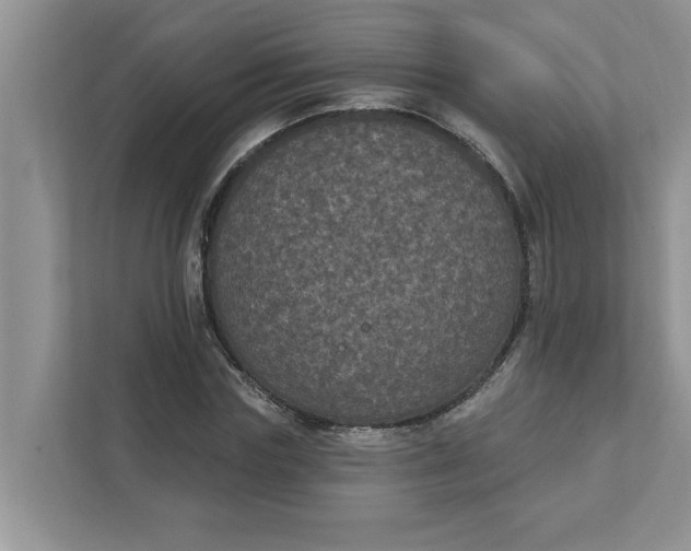 X0000111830827200908061153