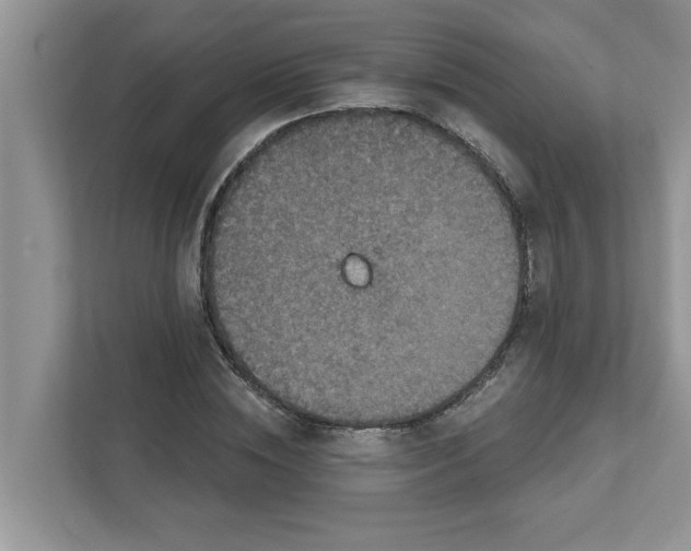 X0000111830828200908061154