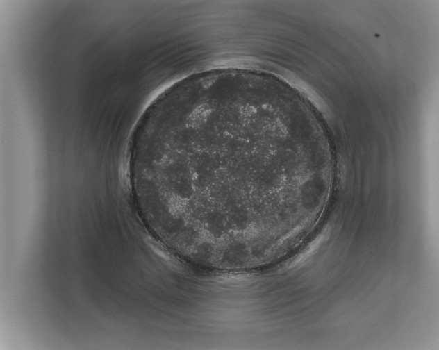 X0000111830830200908061154