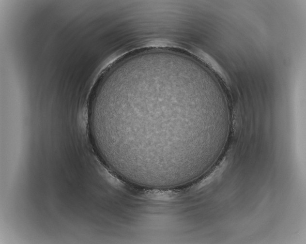X0000111830831200908061154
