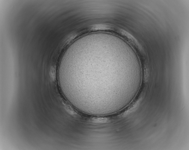 X0000111830833200908061154