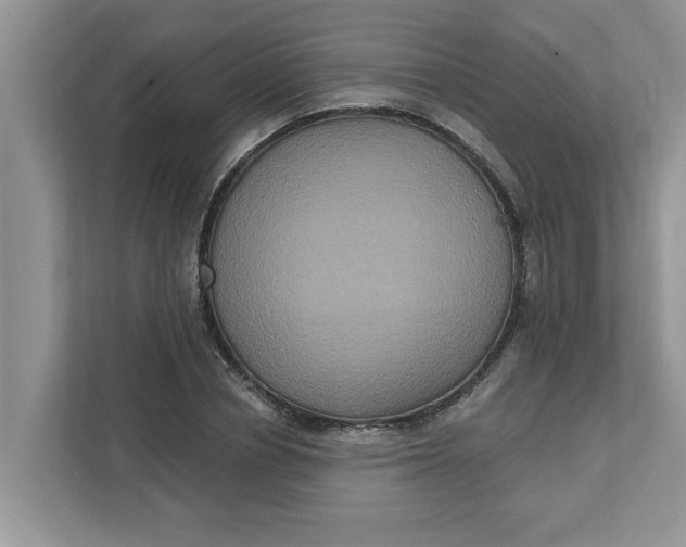 X0000111830834200908061154