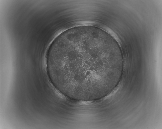 X0000111830835200908061154
