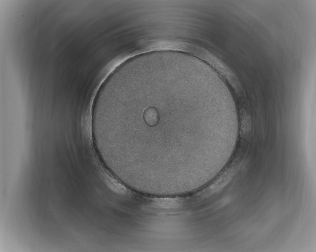X0000111830836200908061154