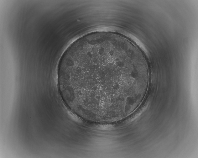 X0000111830837200908061154
