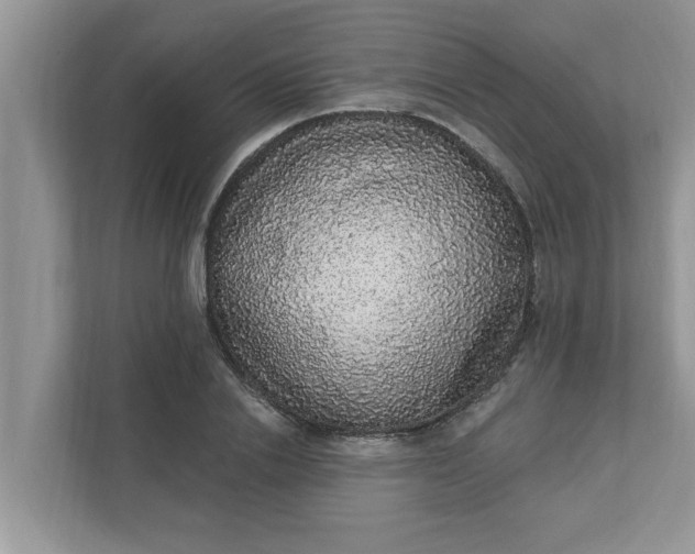 X0000111830838200908061154