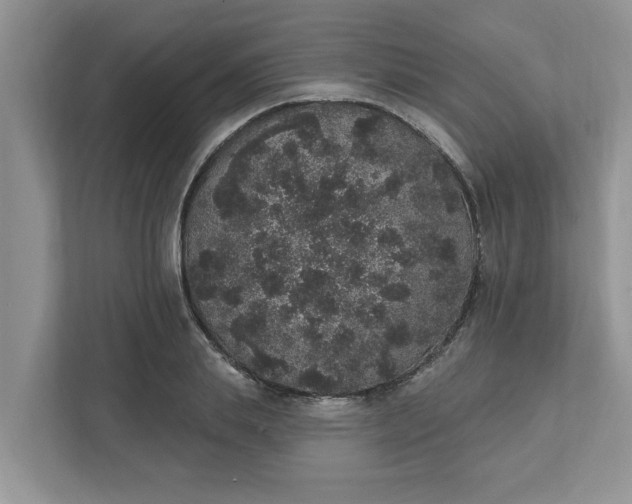 X0000111830839200908061154
