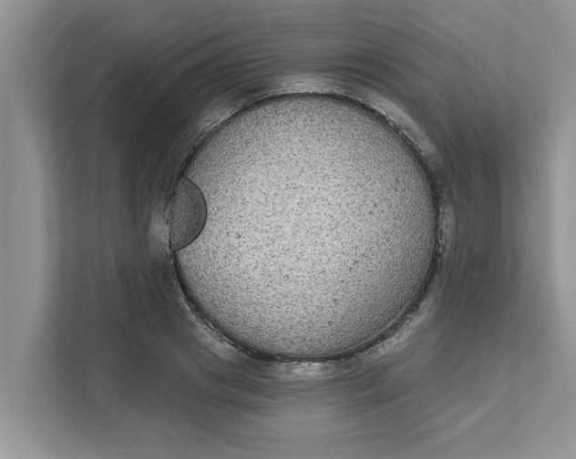 X0000111830841200908061154