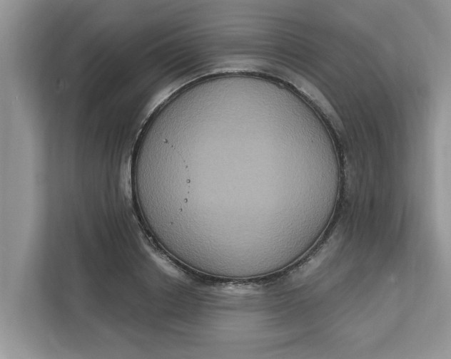 X0000111830842200908061154