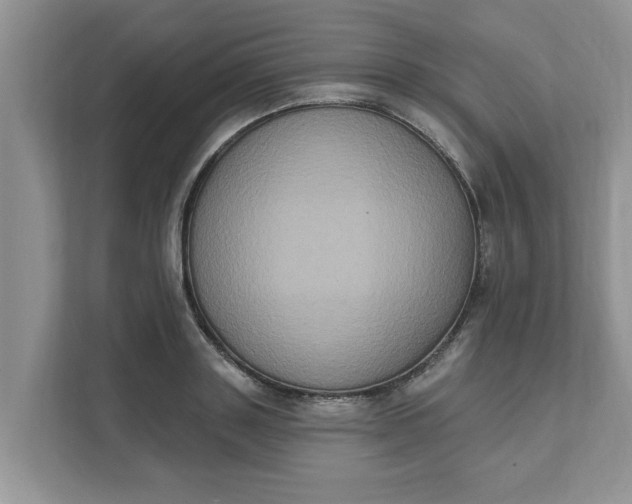 X0000111830843200908061154