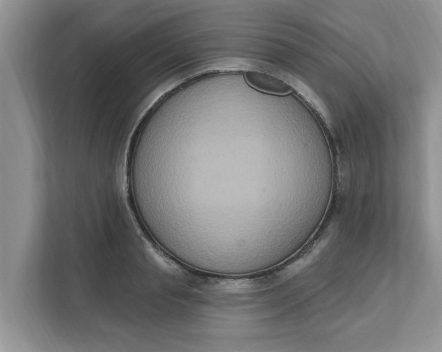 X0000111830845200908061154