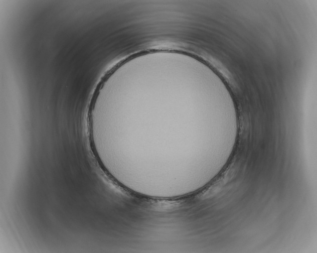 X0000111830848200908061154